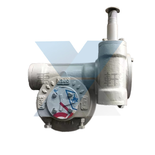 QDX3-C5�p��(j��)�T䓜u݆��